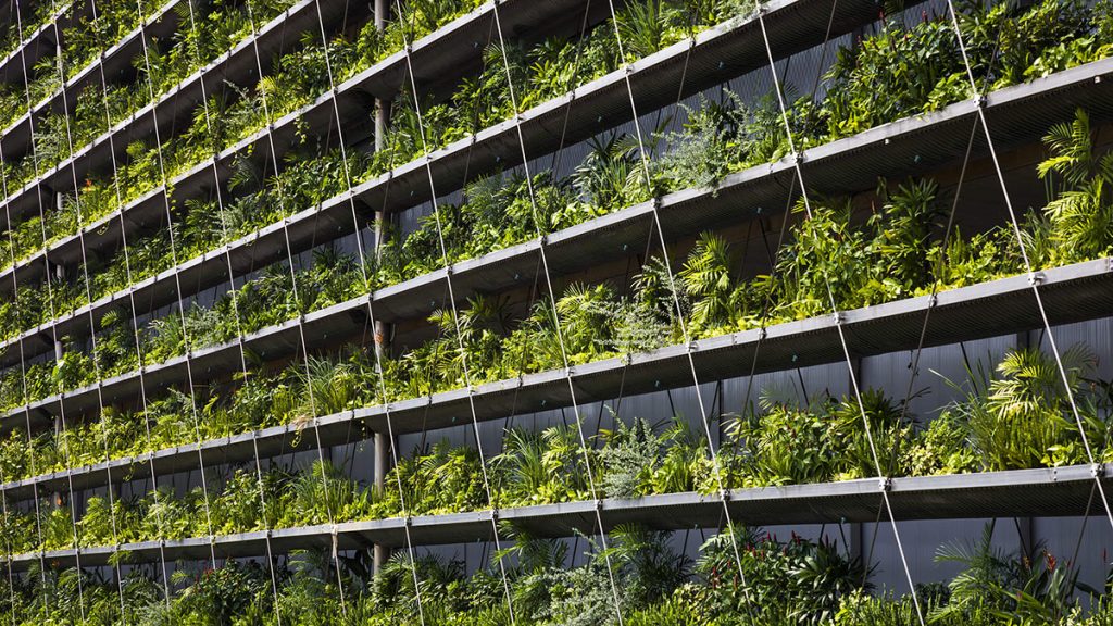 Экологичный зеленый фасад промышленного здания в Вьетнаме